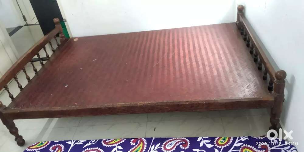 Double coat bed available