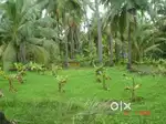 LAND FOR SALE MUNDIKKAL THAZHAM CALICUT