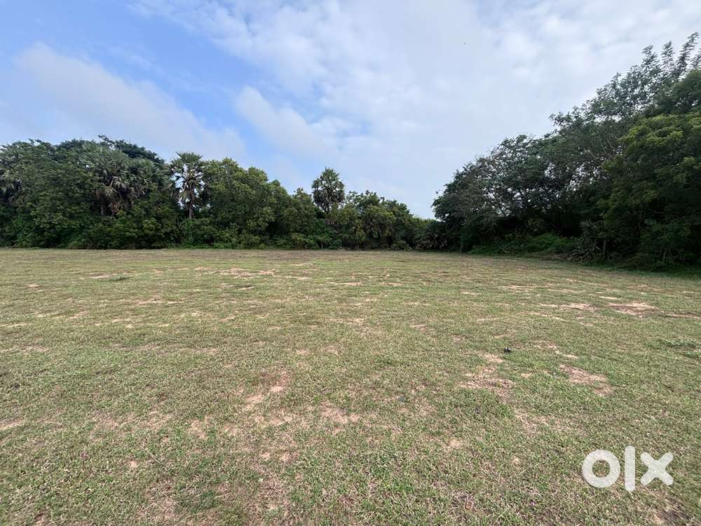 Genuine person txt me