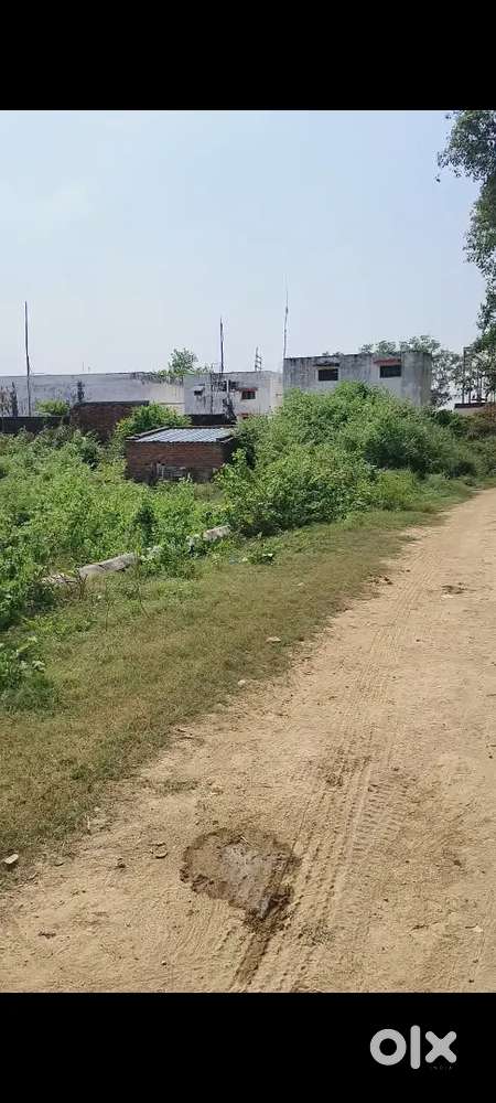 Near sikatiya