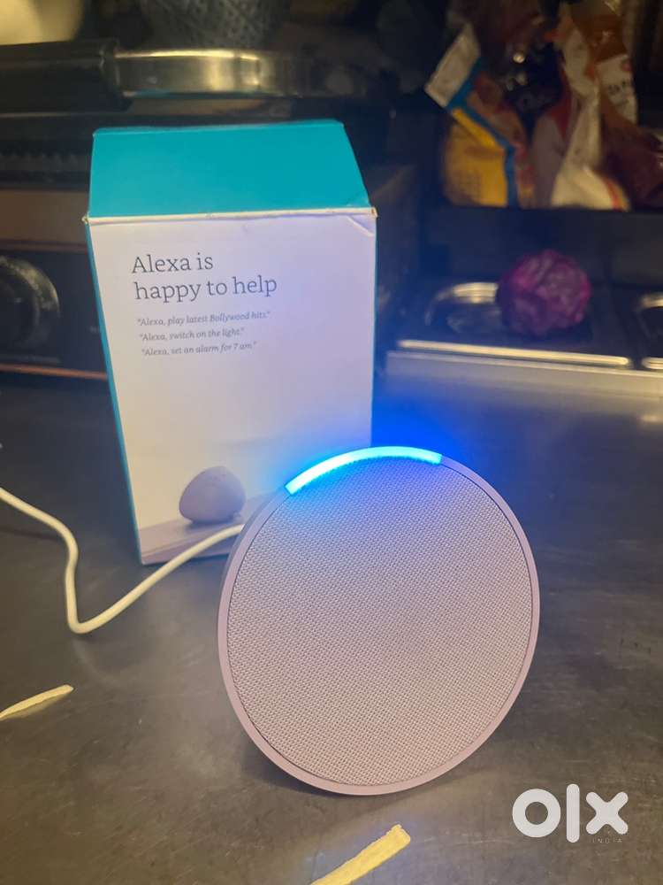 Alexa eco pop
