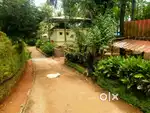 20 cents  Land within Mangalore city corporation limit coconut garden