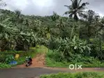2 acres Beautiful tourist Land for sale.