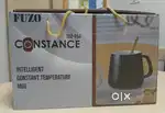 Constant temperature mug