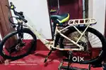 Only ONE WEEK old ELECSON electric cycle