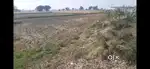On NH34 Lease for EV/CNG/patrolpum