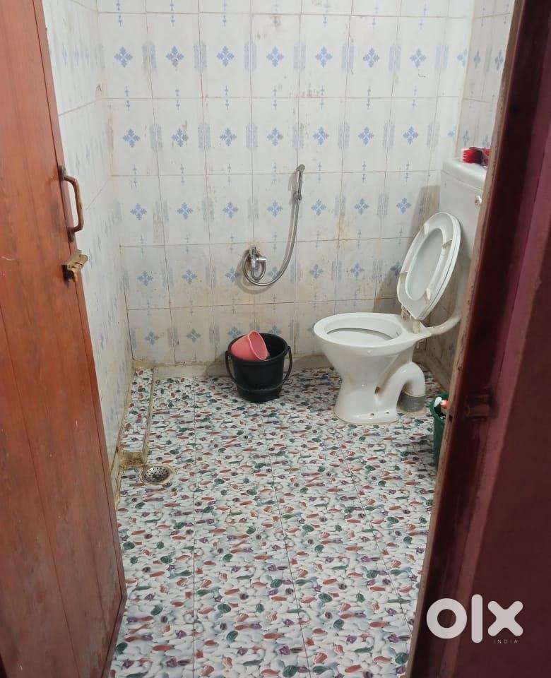 Need one female room mate