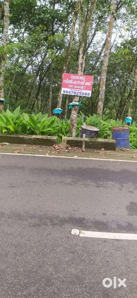 Property near musharikavala Pariyaram road 1km away from Mallappally