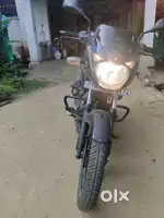 6 mon old pulsar 125 Bike 2024 for sale