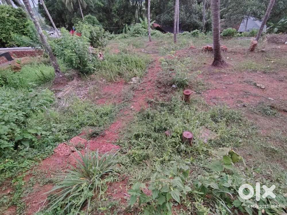 13 cent plot, facing east , near medical College, 6.75 lacks/ cent