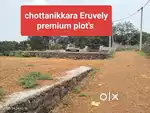 Chottanikkara Eruvely premuim plot's for sale
