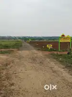 Low Budget Land