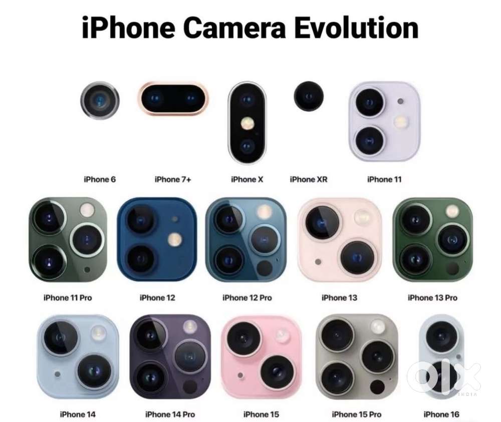 Lady staff for front office