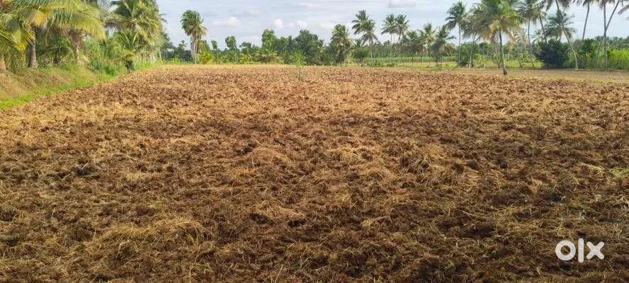 Farm land without 7/12 registry full okk