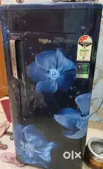 whirlpool refrigerator