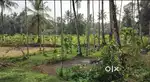 Agriculture property for Sale near Shirthady