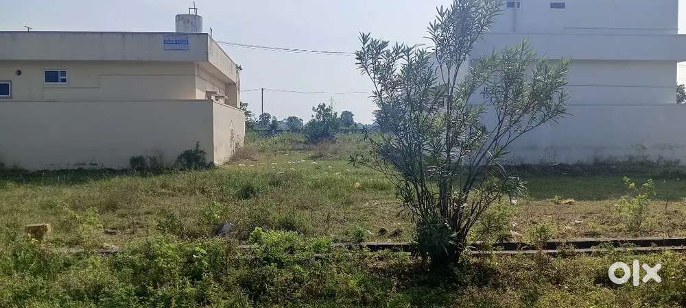 Dtcp layout near cancer hospital back side