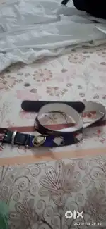 Belt for kids