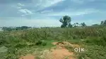 Land For Sale 4.5 Acres