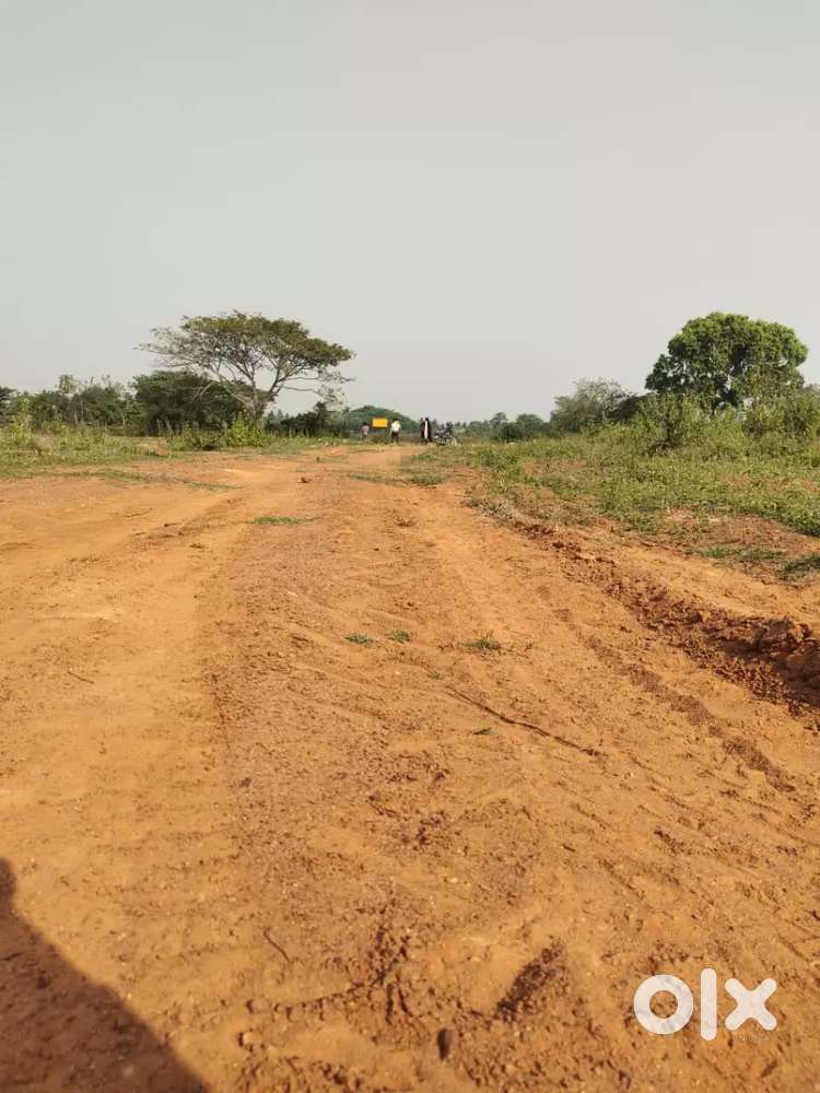Garabari plot  Road site