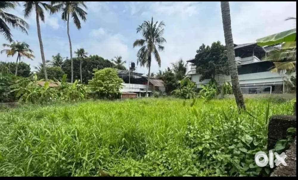 2 Land for sale - Prime locations in Panangad&Madavana