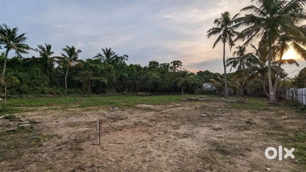 32.5 cent land for sale, vypin