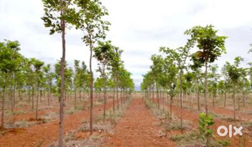 Premium Plots @ Visakhapatnam