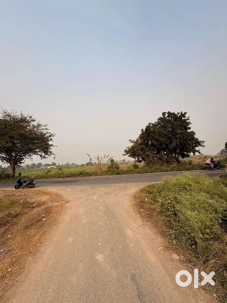 Main shivli road plot for sale