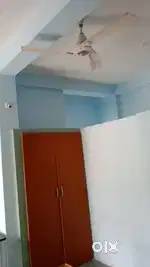 1RK in LIG COLONY