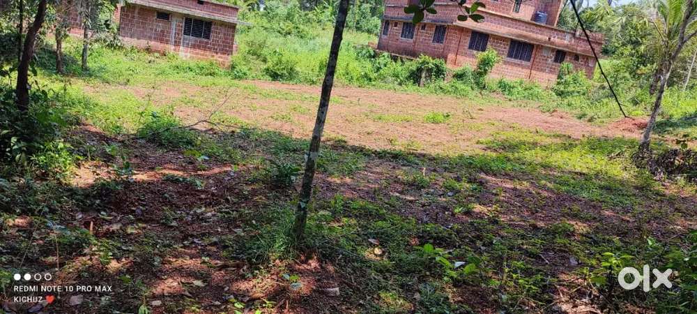 10 or  8സെന്റ്  തരിയേരി, കാർഗിൽ ബസ്റ്റോപ്പിൽ നിന്നും 300 mtr താർ റോഡ്