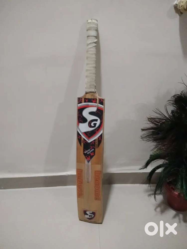 Spartan Cricket Kit and SG Cricket bat