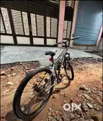 New cycle torfin leader