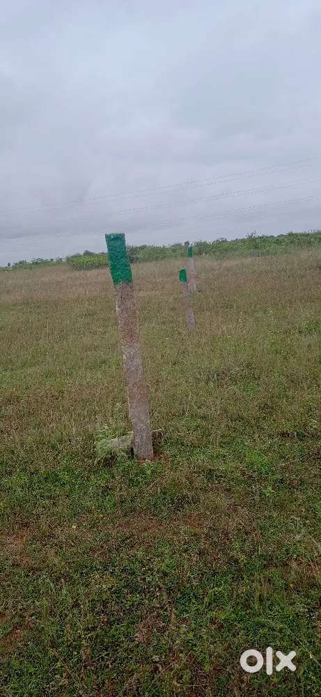 நாகமங்கலம் பஸ்டாப் அருகில்