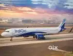 candidate,permanent,Recruitment,indigo Airlines,apply immediately