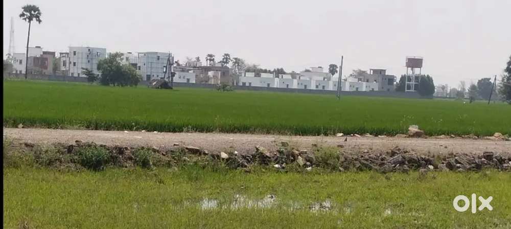 పెనమలూరు - వణుకూరు, ZP high దగ్గర open plots