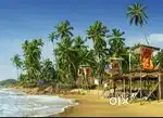 Best offers on Holiday Tour Packages