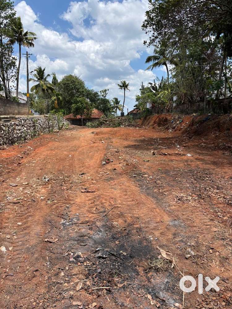 21cents  at chathanoor highway - 5lakh per cent ( negotiable)