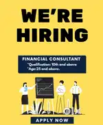 Financial Consultant