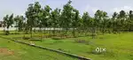 Low budget farm land sale in kinathukadavu coimbatore
