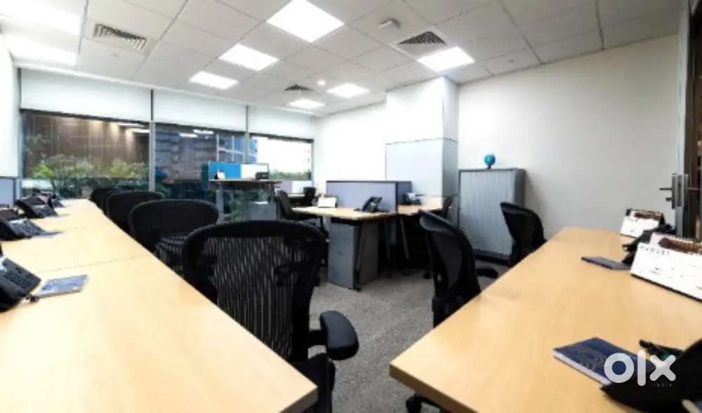 Looking for Female Personal Assistant