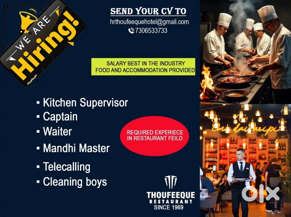 Kitchen supervisor, captain,waiters