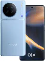 Vivo X90.  8+8/256
