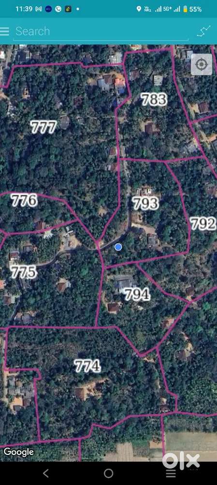 മാടക്കര പാലക്കുനി