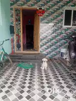 Guduvanchery Perumattunalur 3bhk house Sale