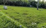 45 cent land sale in Nagercoil