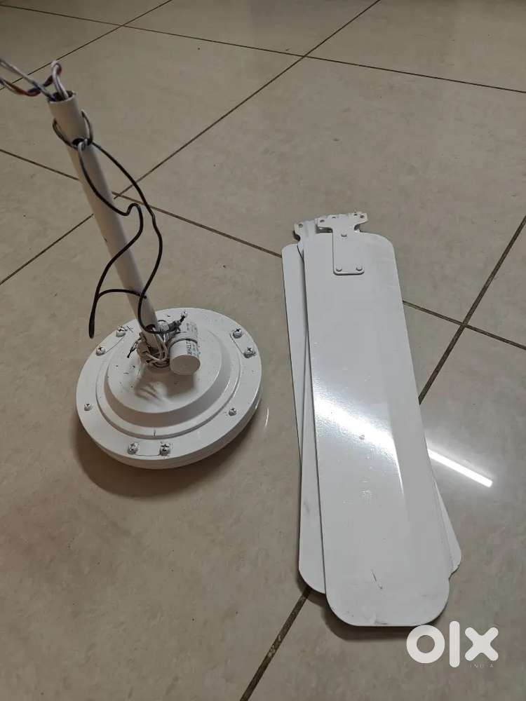 Ceiling Fan Excellent condition