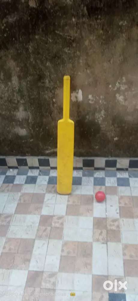 Plastic bat and ball .