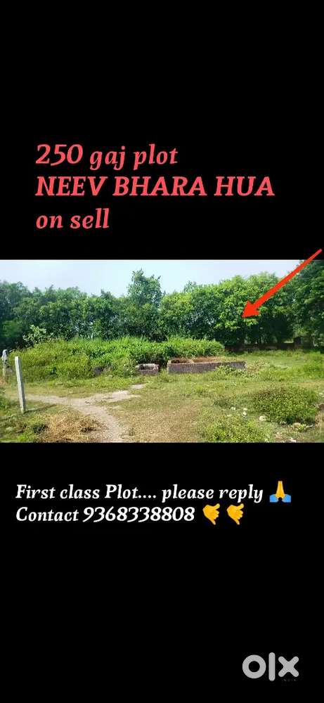 Plot first class 250 gaj buniyad bhara huaa on sell