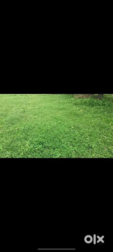 BARBIGHA to Bihar Sharif highway