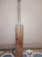 SG bat full leather bat  kashmir willow & english willow